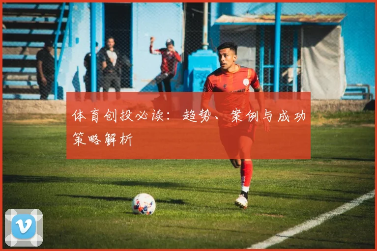 体育创投必读：趋势、案例与成功策略解析